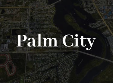 a map of the city of Palm City