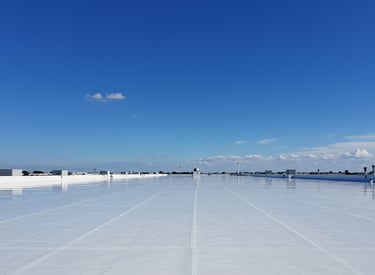 TPO Roof