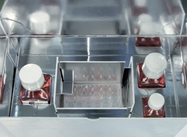 Ready to use cell and tissue kits from CTIBIOTECH tissue and cells biobank. www.ctibiotech.com