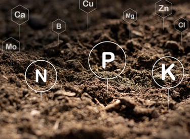 manejo do solo no paisagismo