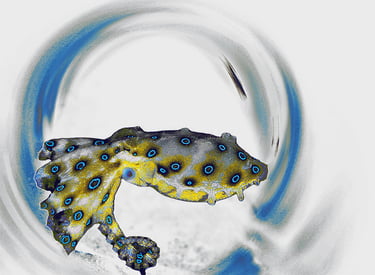 a yellow and blue octopus fish in a circle