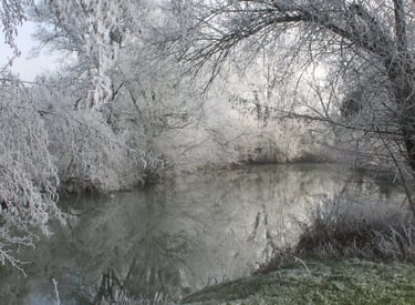 Der Fluss Seille, der durch unseren Bauernhof fließt
