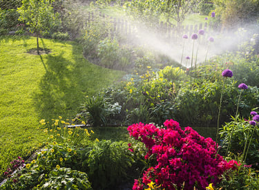 a garden with flowers and a sprinkler