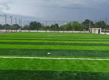 lawn grass suppliers Andhra Pradesh