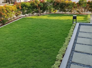 lawn grass suppliers Hyderabad 