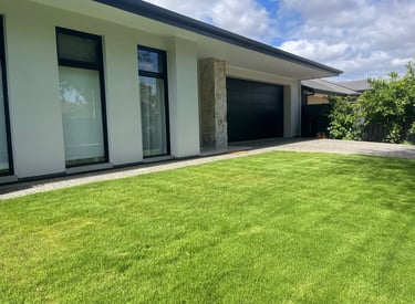 lawn grass suppliers Hyderabad 