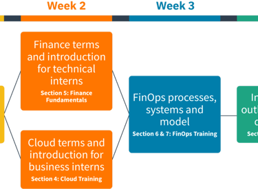 FinOps - 4 week Internship
