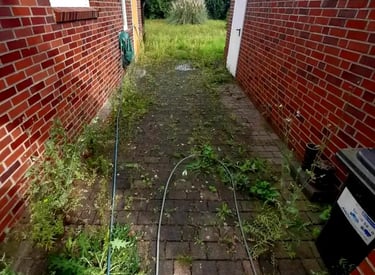 Vorher-steinreinigung-Franz-in-Muenster