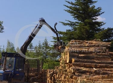 un tracteur chargeur chargeant des gros tronc d'arbre sur un tas d'arbre coupé