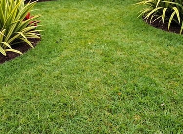 The same Barbados garden after a fresh trim and clean-up.