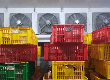 Air Blast Freezer ROCKET CHICKEN - Salatiga by CV MUDACOOL INDONESIA