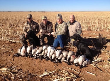 A group of four hunters and their dogs posing with geese in a harvested corn field in West Texas.