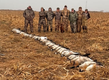 A line of hunters standing behind a long row of harvested geese in a dry Texas corn field.