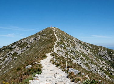 Hands holding a calculator and financial charts on a wooden desk, symbolizing budgeting and planning.