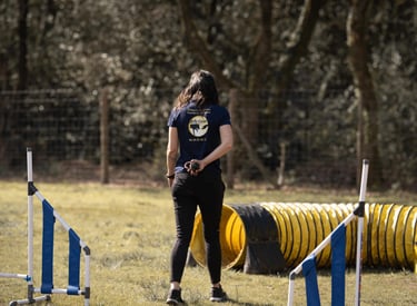 cours d’agility éducatif pour chien sur terrain sécurisé à cestas