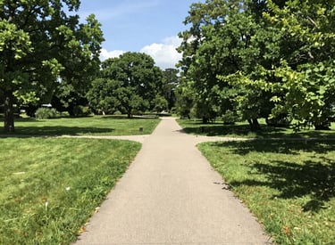 A peaceful park path with two people walking and talking
