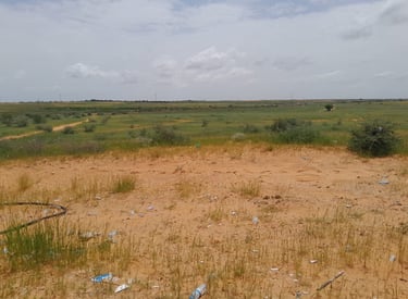 Vue d'ensemble du domaine de Dhraa