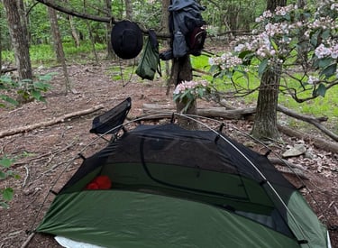 Sponge's trust 1-man tent is pictured, along with some of his hanging gear.