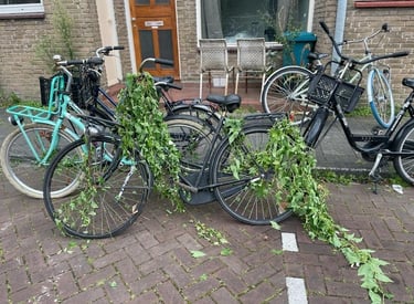 Fietsen in Amsterdam klaar voor reparatie