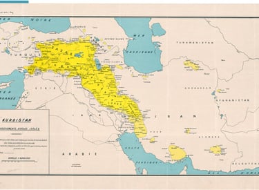 Kurdish Translator and Interpreter