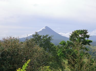 Panoramic view of the conical Arenal Volcano in Costa Rica framed by lush tropical green trees.