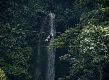 A person ziplining through a lush tropical rainforest canopy past a scenic tall waterfall.