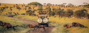 African Safari Camp Experience — Tanzania