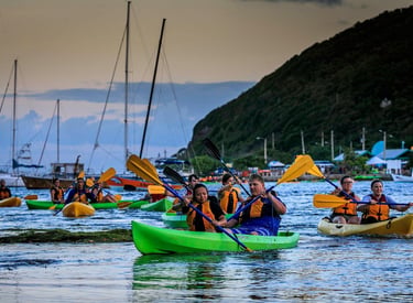 Bioluminescent Night Kayaking — Puerto Rico