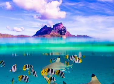 Bora Bora Lagoon Sailing Experience — French Polynesia