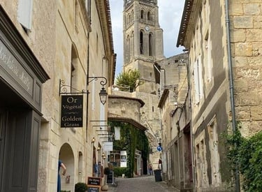 Bordeaux Private Wine Tour — France