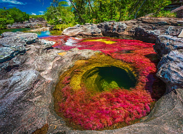 Caño Cristales, Colombia