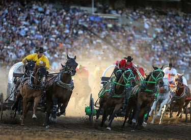 Chuckwagon racers compete in a high-speed horse race at the Calgary Stampede rodeo arena.