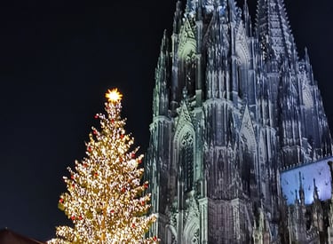A glowing Christmas tree lit with golden lights in front of the Cologne Cathedral at night.