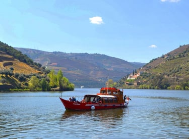 Douro Valley River Wine Cruise — Portugal