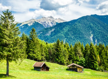Rustic wooden cabins in a lush green meadow of the Swiss Alps with pine forests and mountain peaks.