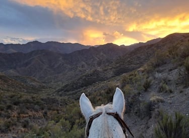 Horseback Riding (Cabalgatas)