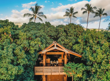 Hotel Wailea — Maui, Hawaii