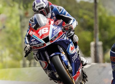 Professional motorcycle racer performing a wheelie on a blue and red sportbike during a road race.