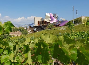 La Rioja Wine & Culinary Tour — Spain
