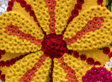 A massive floral display of yellow and red gerbera daisies arranged in a large sunburst pattern.