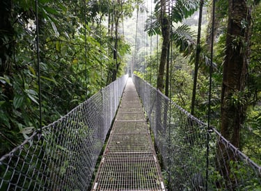 Metal hanging bridge stretching through a lush tropical rainforest canopy in Costa Rica.