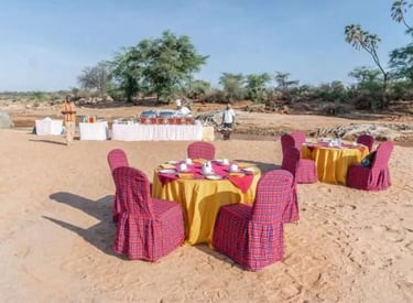 Safari Bush Dinner — Kenya