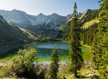 Panoramic view of a turquoise alpine lake surrounded by pine forests and rugged mountain peaks under a clear sky.