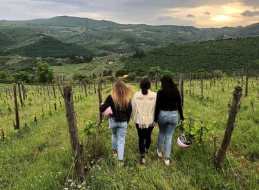 Tuscany Vineyard Dinner Experience — Italy