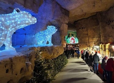 Illuminated polar bear figures at the Valkenburg Christmas market inside a limestone cave.