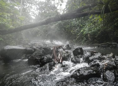 A steaming tropical river flows over dark volcanic rocks in a lush, misty rainforest with a fallen tree trunk.