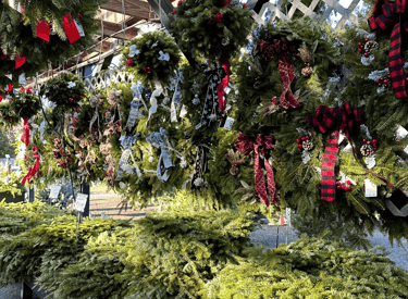 Fresh Christmas wreaths and evergreen kissing balls with red ribbons hanging at an outdoor holiday market.