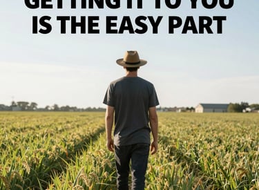 photo of white staircase