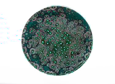 Emerald Pools - Dish