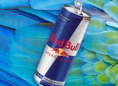 A can of Red Bull